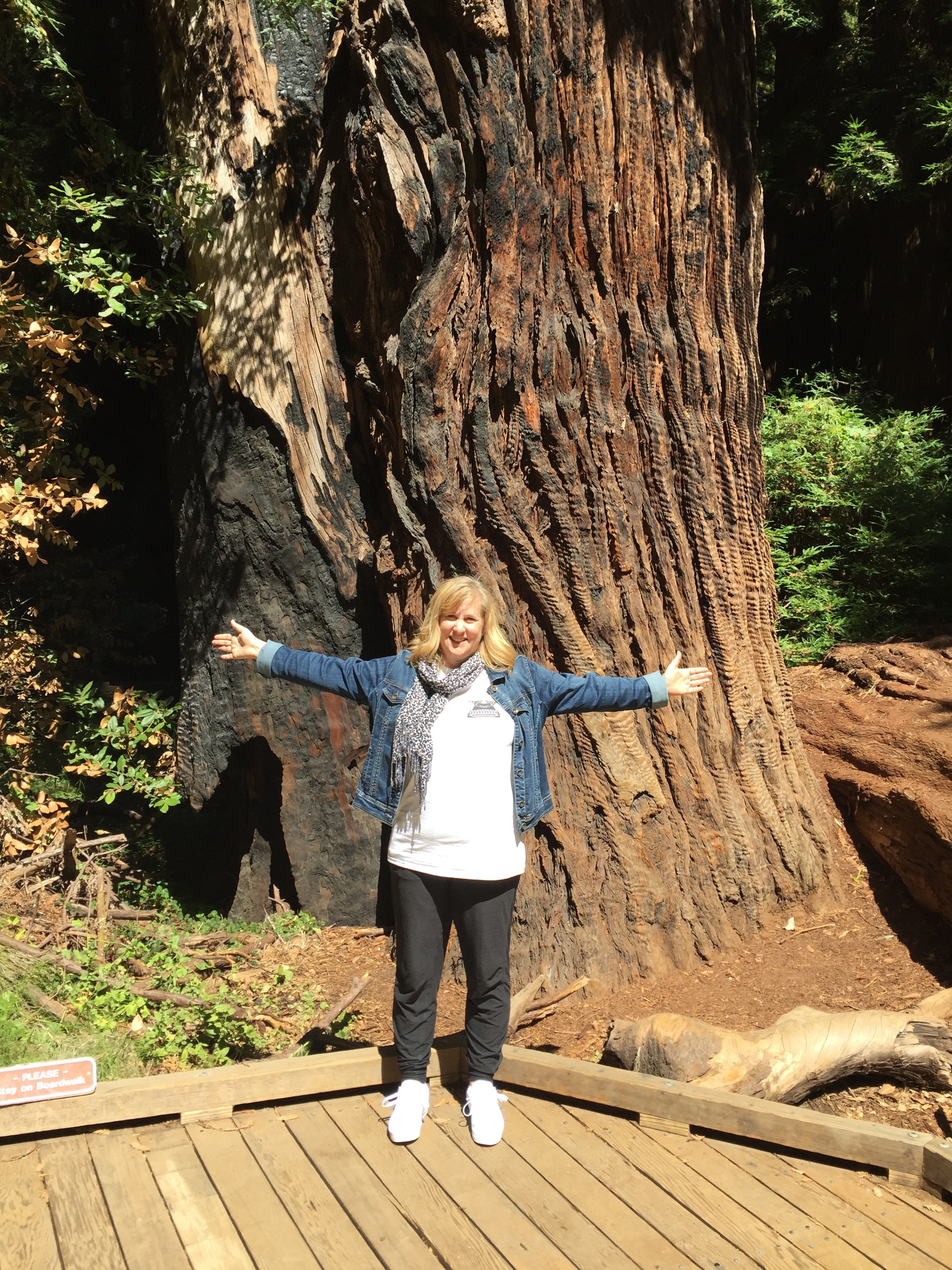 Trees 250ft tall and 1200 years old; Visit Muir Woods, USA