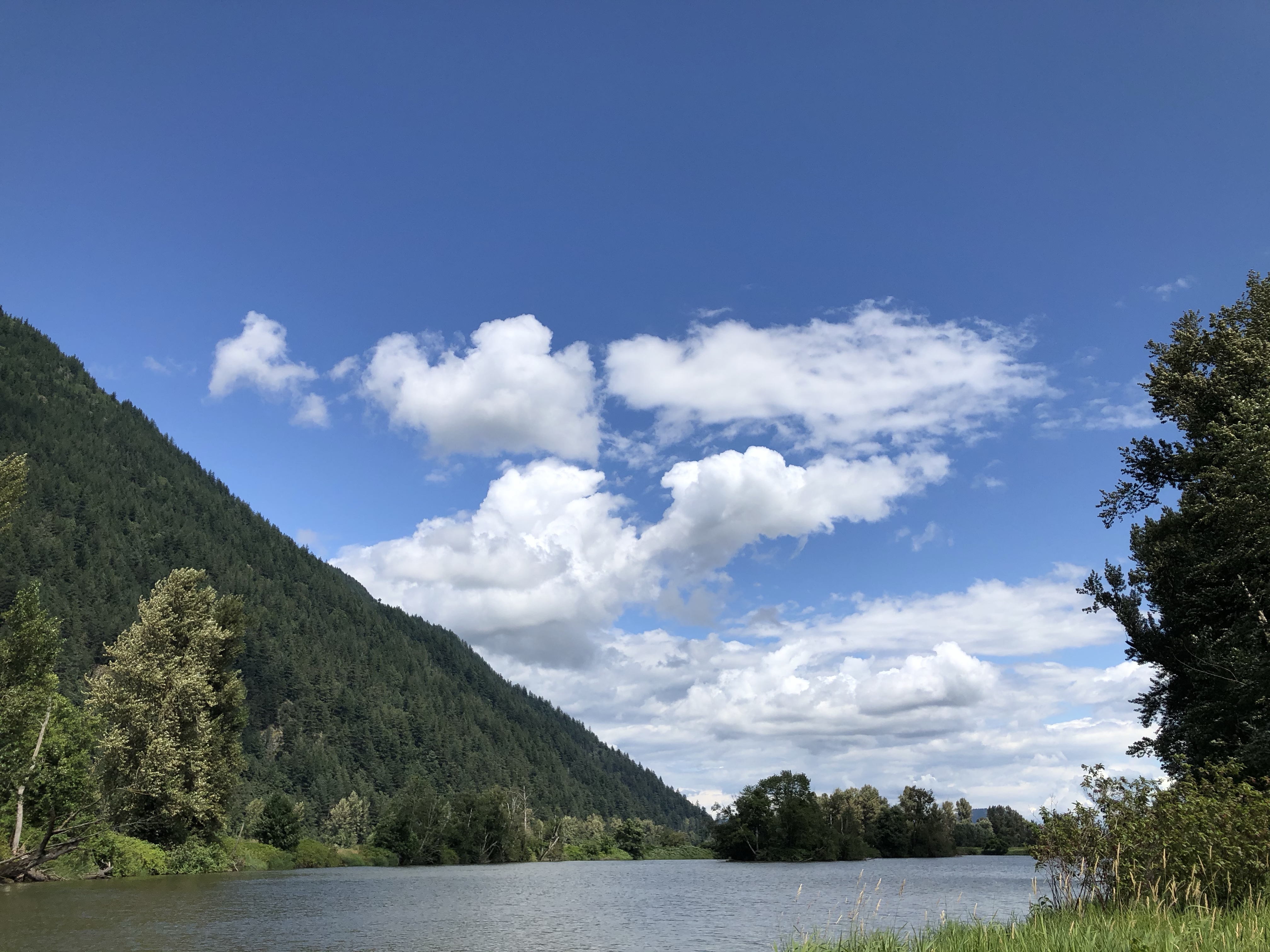McDonald Park & Dark Sky Preserve, Abbotsford, BC
