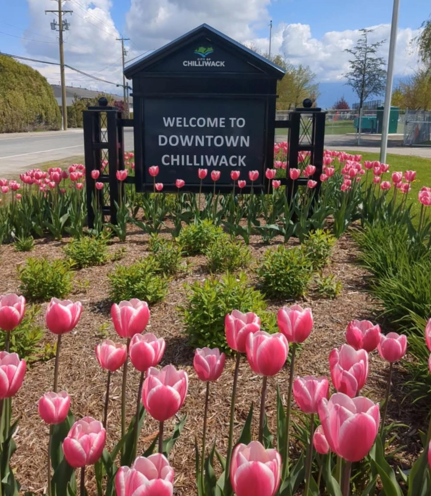Girls’ Day Out Chilliwack; starting at Cultivate Cafe